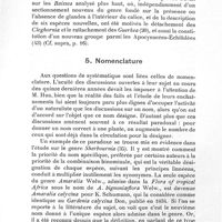 0021 - Page 21 - Publications. I. Exposé méthodique. 4. Études systématiques. - Caractères utilisés pour la détermination / 5. Nomenclature