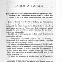 0065 - Page 63 - Travaux scientifiques. Organes génito-urinaires. Artères du testicule
