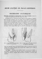 Fig. 1. Coupe sagittale d'un foetus à terme / Fig. 2. Coupe sagittale d'un enfant nouveau-né - Expos [...]