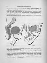 Fig. 6 / Fig. 7 - Exposé des travaux scientifiques