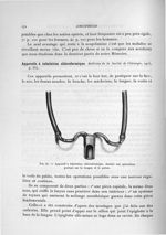 Fig. 67. Appareil à inhalation chloroformique, destiné aux opérations portant sur la langue et le pa [...]