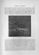 Fig. 78 - Exposé des travaux scientifiques