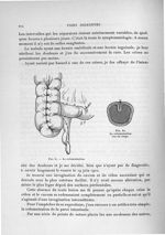 Fig. 81. La columnisation / Fig. 82. La columnisation vue en coupe - Exposé des travaux scientifique [...]