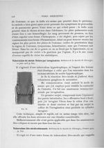 Fig. 83 - Exposé des travaux scientifiques