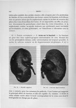 Fig. 84. Encoche angulaire / Fig. 85. Encoche demi-circulaire - Exposé des travaux scientifiques