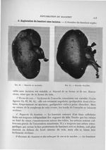 Fig. 86. Encoche en mortaise / Fig. 87. Encoche ébauchée - Exposé des travaux scientifiques