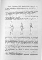 Fig. 113 / Fig. 114 / Fig. 115 - Exposé des travaux scientifiques