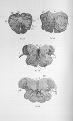 Fig. 23/ Fig. 24/ Fig. 25/ Fig. 26/ - Exposé des travaux scientifiques