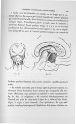 Fig. 30/ Fig. 31 - Exposé des travaux scientifiques