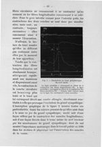 Fig. 2. Excitation du bout périphérique du nerf sacré - Notice sur les travaux scientifiques