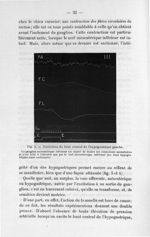 Fig. 4. Excitation du bout central de l'hypogastrique gauche - Notice sur les travaux scientifiques