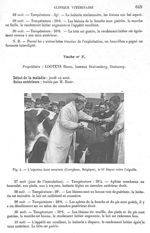 Fig. 4. L'injection est terminée, le Dr Doyen retire l'aiguille - Archives de Doyen. Revue médico-ch [...]