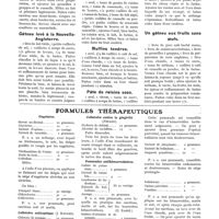 0515 - Page 451 - Diététique. Biscuits aux groseilles / Gâteau levé à la Nouvelle-Angleterre / Gâteau de Belfast / Muffins tendres / Pâte de raisins secs / Un gâteau aux fruits sans oeufs / Formules thérapeutiques. Engelures / Collutoire antiseptique (J. Redier) / Collutoire contre la gingivite (Pinard) / Pommades antihémorroïdaires [E. Barié]