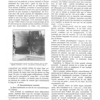 0593 - Page 523 - Chronique scientifique. Chinois et aborigènes de la Chine Occidentale. Leurs principales caractéristiques physiques et morales, par le Dr A.-F. Legendre. 1° Caractéristiques physiques / 2° Caractéristiques morales