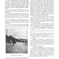 0631 - Page 555 - Chronique. La lèpre dans les Alpes-Maritimes, par le Dr Milian