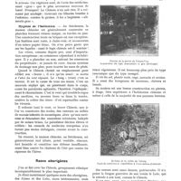 0893 - Page 787 - Chronique scientifique. Chinois et aborigènes de la Chine Occidentale. Leur hygiène. - Leurs maladies. - Avenir de ces races, par le Dr A.-F. Legendre. Hygiène des Chinois / Races aborigènes