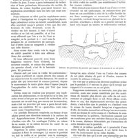 1227 - Page 1083 - Choses du jour. Les sourciers, par le Docteur Ph. Russo