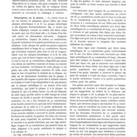 1279 - Page 1129 - Technique. La chaise pour la rachicenthèse modèle du Dr André A. Antonio. Par Georges Radulesco / Description de la chaise