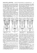 Fig. 17. - Point vésico-urétéral ou urétéral inférieur (Guyon, Legueu, Bazy) / Fig. 18. - Point sus- [...]