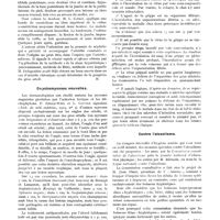 0111 - Page 83 - Actualités médicales. Claudication intermittente et hyperémie passive / Onychomycoses nouvelles / Recherches expérimentales sur la grippe / Contre l'alcoolisme