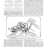 0427 - Page 369 - L'électrothérapie des maladies de la nutrition, par le Professeur J. Bergonié. Technique / Résultats