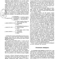 0124 - Page 100 - Revue annuelle. La gynécologie en 1919, par le Dr Louis Sauvé. Chirurgie de l'utérus / Grossesses ectopiques