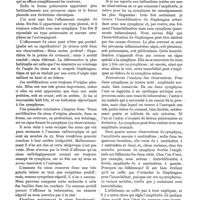 0110 - Page 106 - Radio-diagnostic de la symphyse pleurale, par le Dr F. Barjon. Étude des sinus / Étude de l'amplitude