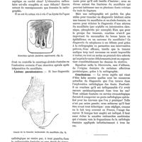 0124 - Page 120 - Les applications de la radiographie à l'art dentaire, par le Dr J. Pierquin et M. L. Blanc. Les données du radiodiagnostic dentaire / Conclusions