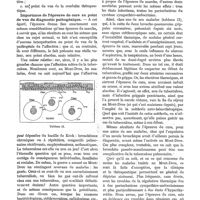 0210 - Page 214 - L'« Épreuve de cure » dans les tuberculoses larvées et les tuberculoses présumées éteintes, par le Dr J. Galup / Importance de l'épreuve de cure au point de vue du diagnostic pathogénique