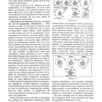 0211 - Page 215 - L'« Épreuve de cure » dans les tuberculoses larvées et les tuberculoses présumées éteintes, par le Dr J. Galup. Importance de l'épreuve de cure au point de vue du diagnostic pathogénique / Importance de l'épreuve de cure au point de vue du diagnostic d'évolution