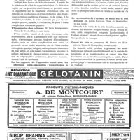 0077 - Page 44 - Revue des thèses. Traitement actuel de la syphilis chez la femme enceinte (M. Pierre Goudet, Thèse de Montpellier, 11 mai 1920) / De la césarienne vaginale : ses indications actuelles (M. Louis Bona, Th. Montpellier, 12 mai 1920) / L'hypospadias chez la femme (M. Jean Bentkowski, Thèse de Montpellier, 15 mai 1920) / Sur les rapports de l'appendice caecal avec les affections utéro-annexielles ; contribution à l'étude de l'appendicectomie préventive (M. Robert Lévy, Thèse de Montpellier, 14 mai 1920) / De la rétraction de l'anneau de Bandl sur la tête dernière (M. Louis Rougon, Thèse de Montpellier, 19 mai 1920) / Cancer du sein et grossesse (M. Henri de Kerkhove, Thèse de Montpellier, 22 mai 1920)