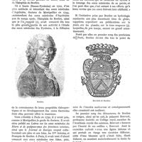 0085 - Page 49 - Variétés. Bordeu
