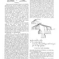 0217 - Page 167 - Le traitement de l'hémophilie par la Peptone Witte, une famille hémophilique, par le Dr A. Radovici et S. Iagnov / Observation