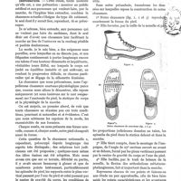 0573 - Page 325 - Variétés. La chaussure du marcheur chaussure « anatomo-physiologique », par le Docteur Barthélemy