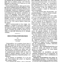 0131 - Page 123 - La prostatectomie en deux temps, par le Dr Félix Marsan. Résultats / Des hydronéphroses, par le Dr E. Pillet / I. Il y a un gros rein