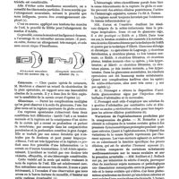 0189 - Page 177 - Revue annuelle. L'ophtalmologie en 1921, par le Dr F. Terrien. Strabisme / Cataracte / Glaucome / Variations de l'ophtalmotonus produites par la compression du globe / Action comparée de certaines substances médicamenteuses sur le tonus oculaire et sur la pression artérielle