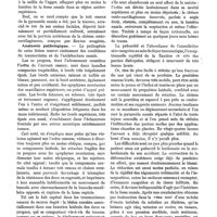 0212 - Page 200 - Les fractures du nez et leur traitement, par le Dr Jacques. Fait clinique / Anatomie pathologique / Traitement