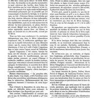 0230 - Page 216 - De la fièvre chez les tuberculeux. Sa pathogénie, par le Dr E. Bossan. Fièvre tuberculeuse proprement dite, due exclusivement aux poisons bacillaires / Fièvre d'intoxication