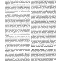0316 - Page 300 - Revue générale. Quelques données actuelles sur la structure de la cellule, par le Pr A. Policard. Le centre cellulaire / Vacuoles et enclaves / Les enclaves lipoïdes