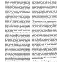 0318 - Page 302 - Revue générale. Quelques données actuelles sur la structure de la cellule, par le Pr A. Policard. Formations filamenteuses du cytoplasma / Membranes et cuticules / Conclusions