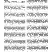 0326 - Page 310 - Sur une éruption papuleuse et prurigineuse se développant au printemps sur les mains des jeunes sujets, par MM. Georges Thibierge et Robert Rabut. Prurit / Apparition printanière / Age / Évolution / Diagnostic / Traitement / Étiologie. Nature