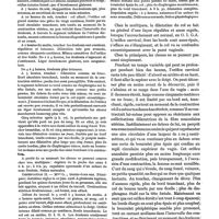 0401 - Page 385 - Incidents hémorragiques de l'accouchement normal chez les primipares, par le Dr Barbillion. Observation I / Observation II
