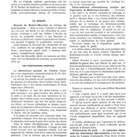 0072 - Page 60 - Revue annuelle. La chirurgie infantile et l'orthopédie en 1928, par MM. Albert Mouchet et Carle Roederer. L'épaule / Le poignet / Les tuberculoses externes