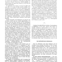 0413 - Page 397 - Revue générale. Les spirochétoses. Spirochétoses mésodermiques et traitement, par H. Jausion. Spirochétoses essentiellement mésodermiques inoculées par des animaux divers / Les spirochétoses douteuses