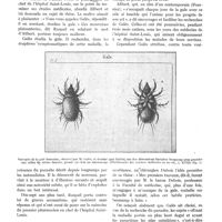 0103 - Page 66 - Variétés. Jean-Chrysanthe Gales, par L. Brodier