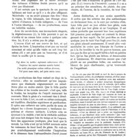 0501 - Page 397 - Variétés. Peinture spirite