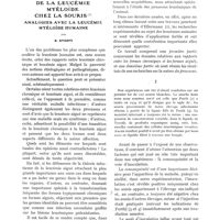 0109 - Page 97 - Identité étiologique et nature néoplasique des formes aiguës et chroniques de la leucémie myéloïde chez la souris. Analogies avec la leucémie myéloïde humaine, par E. Storti