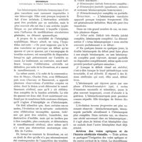 0178 - Page 160 - Les hémianopsies latérales homonymes d'origine vasculaire, par Monbrun / Formes périmétriques / Artères des voies optiques et de l'écorce cérébrale visuelle