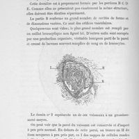0010 - Page 132 - Dessin 2