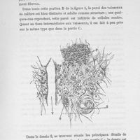 0011 - Page 133 - Dessin 3